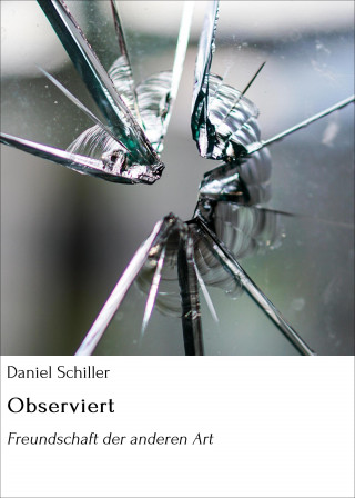 Daniel Schiller: Observiert