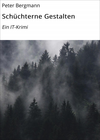 Peter Bergmann: Schüchterne Gestalten