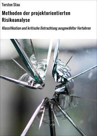 Torsten Stau: Methoden der projektorientierten Risikoanalyse