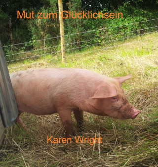 Karen Wright: Mut zum Glücklichsein