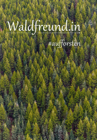 Daniel Zabota: Waldfreund.in