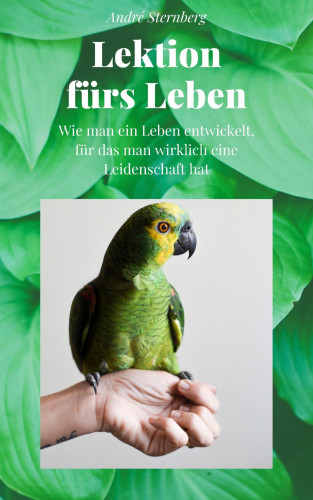 Andre Sternberg: Lektion fürs Leben