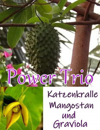 Alina Frey: Power Trio