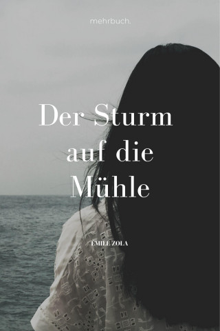 Emile Zola: Der Sturm auf die Mühle