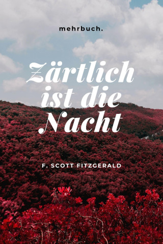 F. Scott Fitzgerald: Zärtlich ist die Nacht