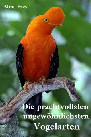 Alina Frey: Die prachvollsten ungewöhnlichsten Vogelarten