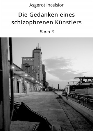 Asgerot Incelsior: Die Gedanken eines schizophrenen Künstlers
