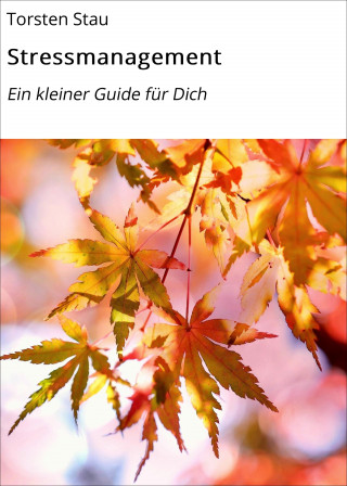 Torsten Stau: Stressmanagement