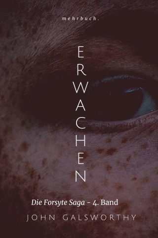 John Galsworthy: Erwachen