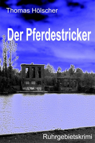 Thomas Hölscher: Der Pferdestricker