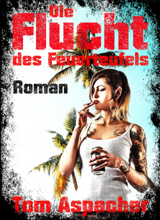 Tom Aspacher: Die Flucht des Feuerteufels