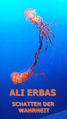 Ali Erbas: Schatten der Wahrheit