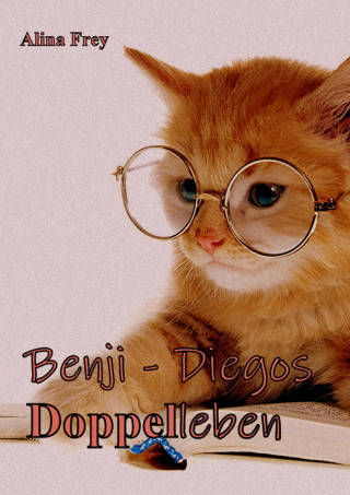 Alina Frey: Benji - Diegos Doppelleben