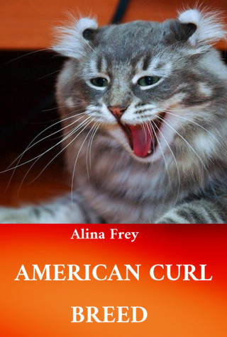 Alina Frey: American Curl Breed