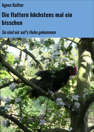 Agnes Kather: Die flattern höchstens mal ein bisschen