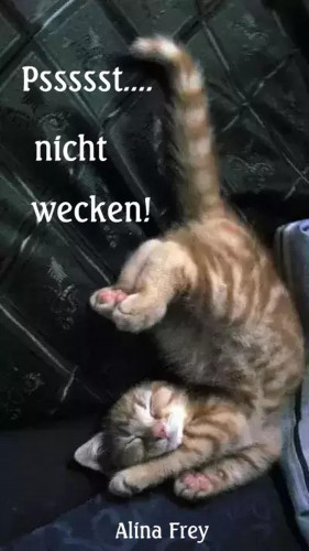 Alina Frey: Psssst... nicht wecken!