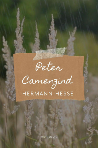 Hermann Hesse: Peter Camenzind
