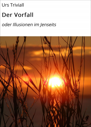 Urs Triviall: Der Vorfall