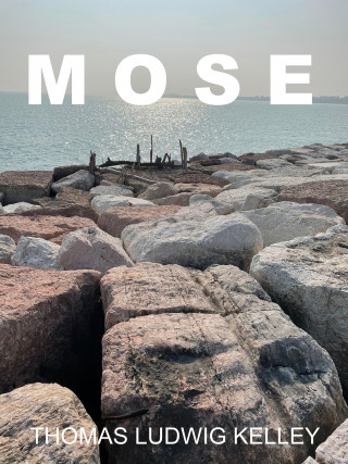 Thomas Ludwig-Kelley: MOSE