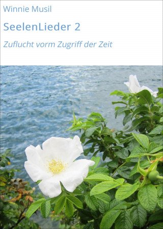Winnie Musil: SeelenLieder 2