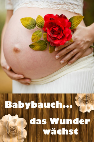 Laura Paulsen: Babybauch...das Wunder wächst