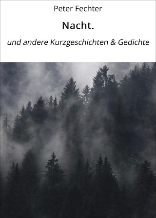 Peter Fechter: Nacht.