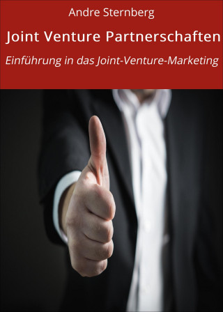 Andre Sternberg: Joint Venture Partnerschaften