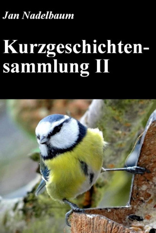 Jan Nadelbaum: Kurzgeschichtensammlung II