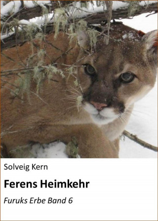 Solveig Kern: Ferens Heimkehr
