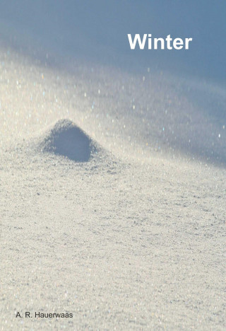 Andreas Hauerwaas: Winter