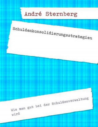 Andre Sternberg: Schuldenkonsolidierungsstrategien