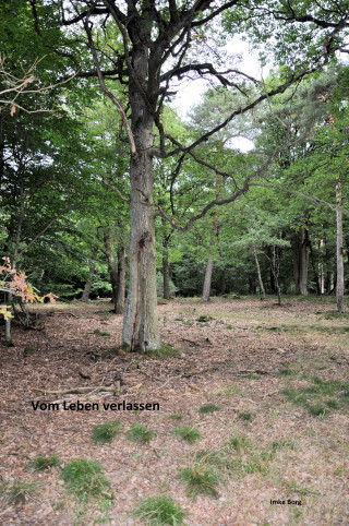 Imke Borg: Vom Leben verlassen