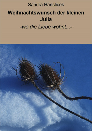 Sandra Hanslicek: Weihnachtswunsch der kleinen Julia