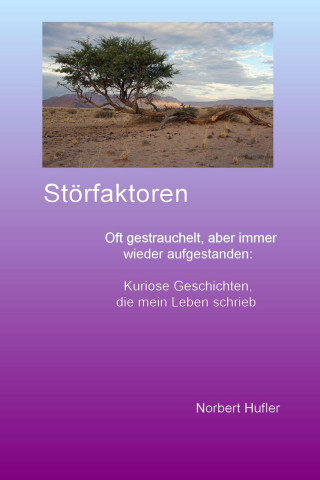 Norbert Hufler: Störfaktoren