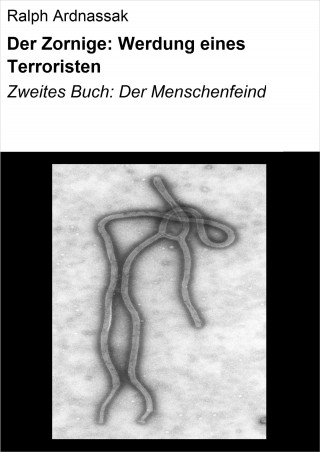 Ralph Ardnassak: Der Zornige: Werdung eines Terroristen