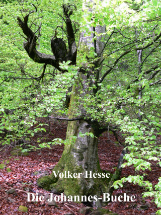 Volker Hesse: Die Johannes-Buche