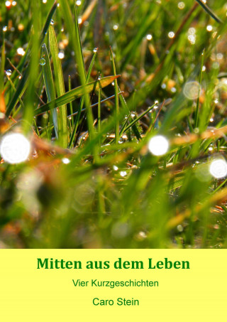 Caro Stein: Mitten aus dem Leben