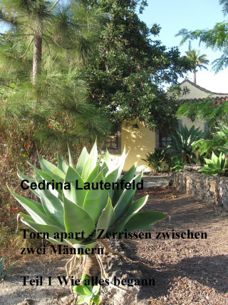 Cedrina Lautenfeld: Torn apart - Zerrissen zwischen zwei Männern