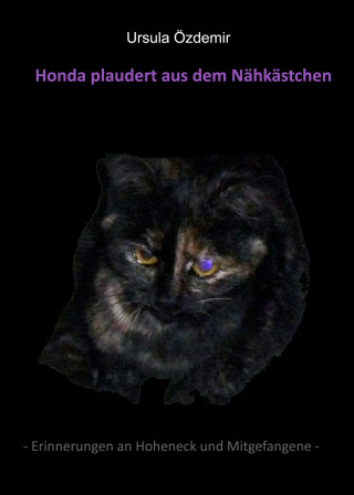 Ursula Özdemir: HONDA PLAUDERT AUS DEM NÄHKÄSTCHEN