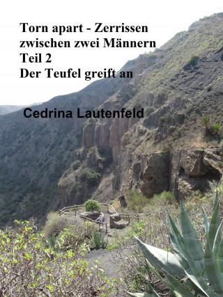 Cedrina Lautenfeld: Torn apart - Zerrissen zwischen zwei Männern