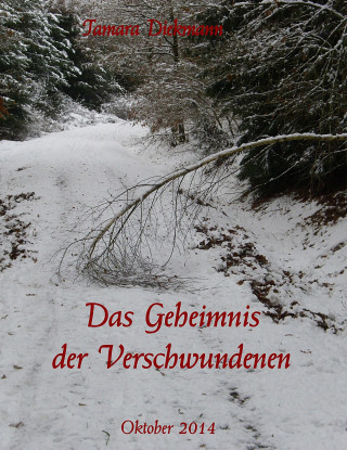 Tamara Diekmann: Das Geheimnis der Verschwundenen