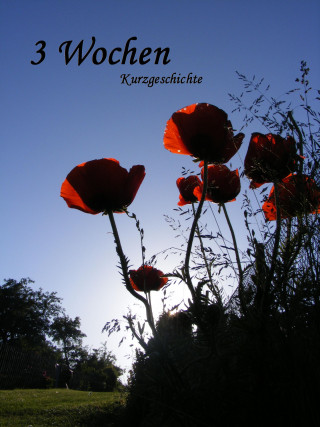 Simone Zenker: Drei Wochen
