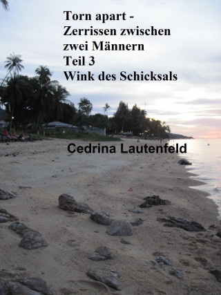 Cedrina Lautenfeld: Torn apart - Zerrissen zwischen zwei Männern