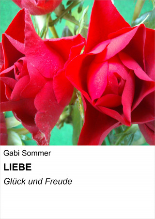 Gabi Sommer: LIEBE