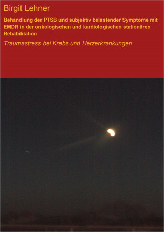 Birgit Lehner: Behandlung der PTSB und subjektiv belastender Symptome mit EMDR in der onkologischen und kardiologischen stationären Rehabilitation