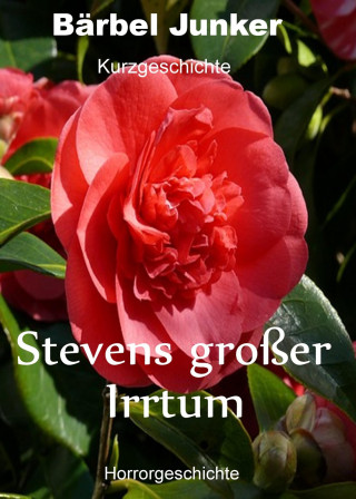 Bärbel Junker: Stevens großer Irrtum