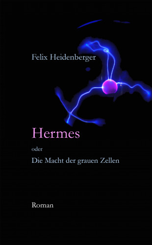 Felix Heidenberger: Hermes oder Die Macht der grauen Zellen