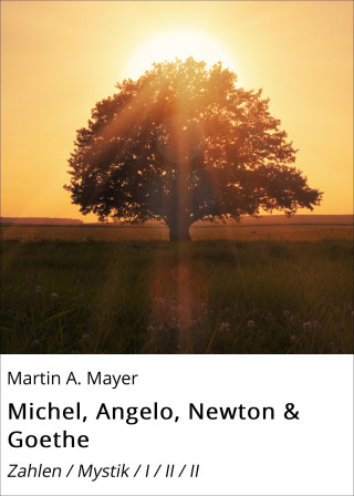 Martin A. Mayer: Michel, Angelo, Newton & Goethe