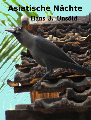 Hans J. Unsoeld: Asiatische Nächte