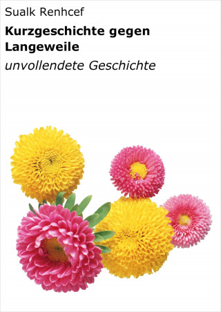 Sualk Renhcef: Kurzgeschichte gegen Langeweile